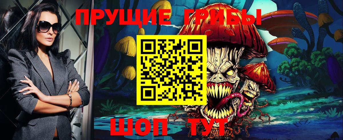 Нарткала  Псилоцибиновые грибы GOLDEN TEACHER  Вход с VPN  Псилоцибиновые грибы Psilocybe 