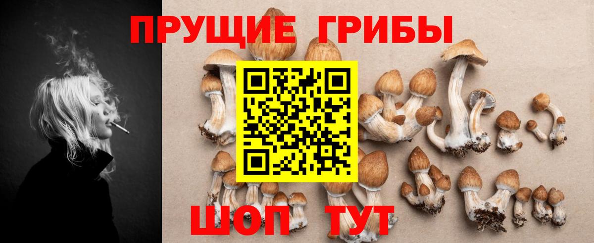 Псилоцибиновые грибы Magic Shrooms Нарткала